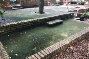 Pressure Washing Services Company 2