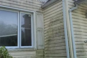 House Washing service in Cranford NJ 8